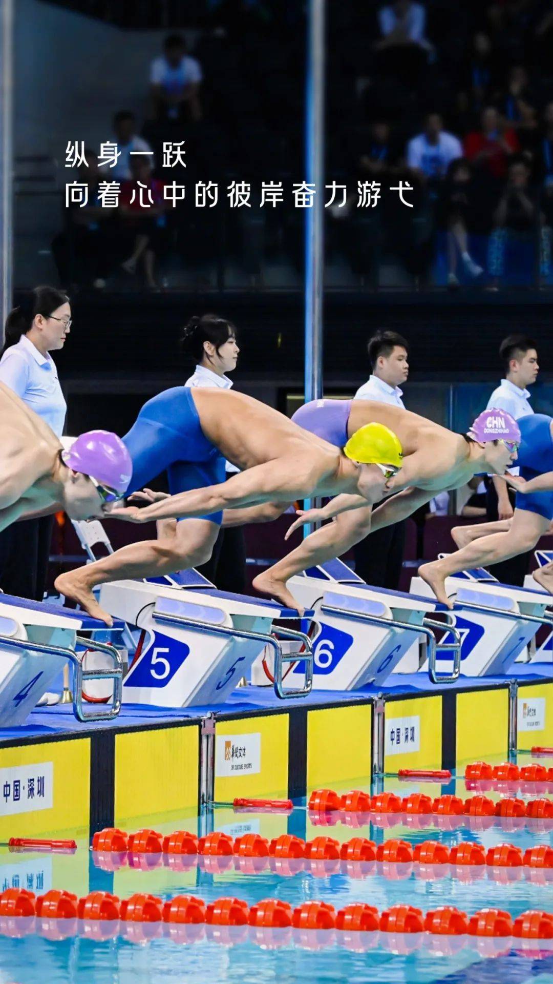 爱游戏APP-关于游泳赛事精彩瞬间盘点，年度回顾震撼登场的信息