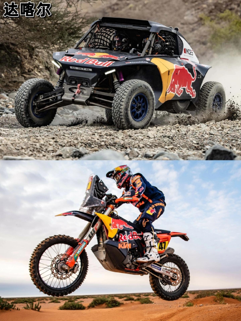 红牛二队碾压哈斯车队,阿隆索惊艳四座 红牛二队碾压哈斯车队,阿隆索惊艳四座