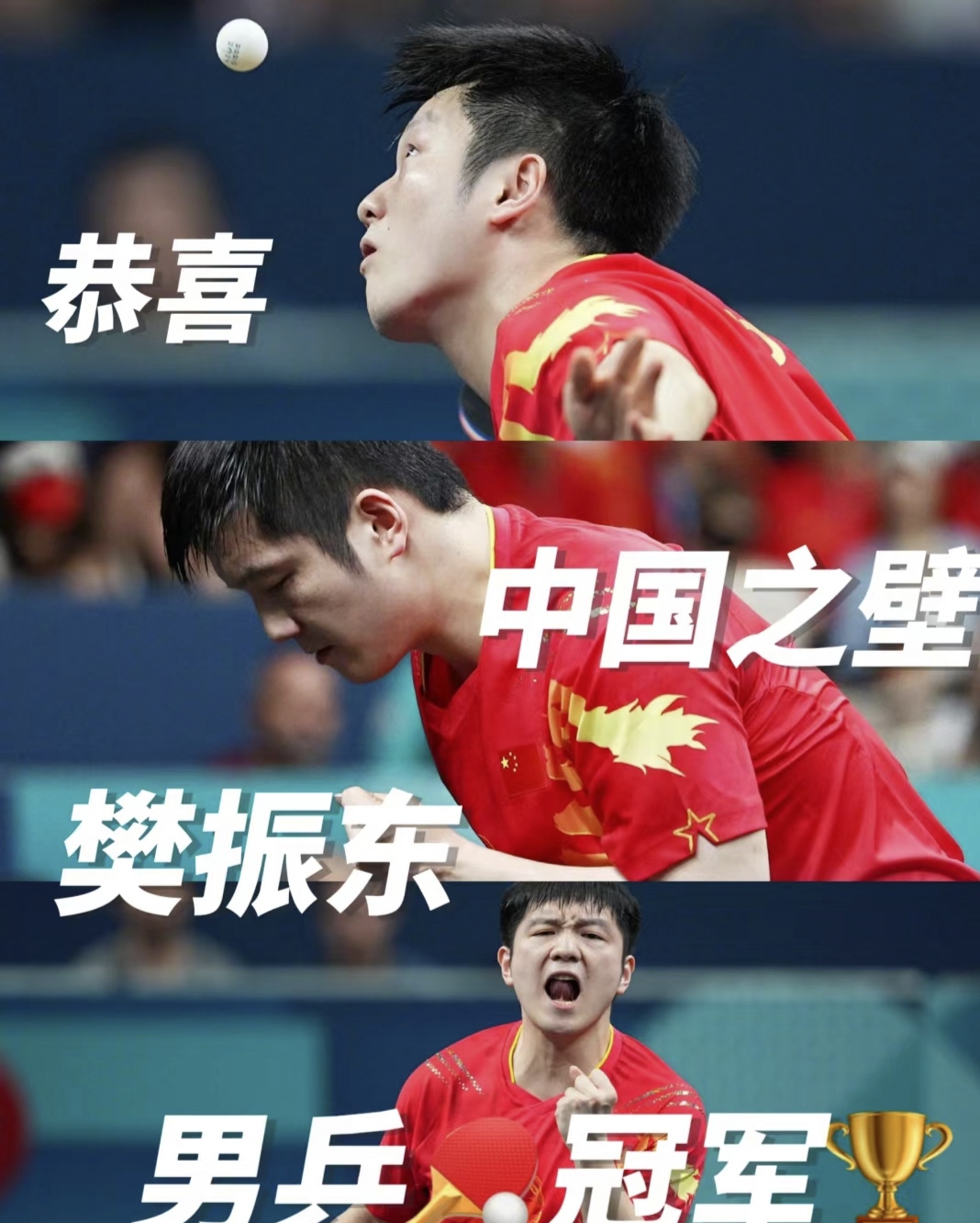 葡萄牙队完胜瑞典队，樊振东惊艳四座