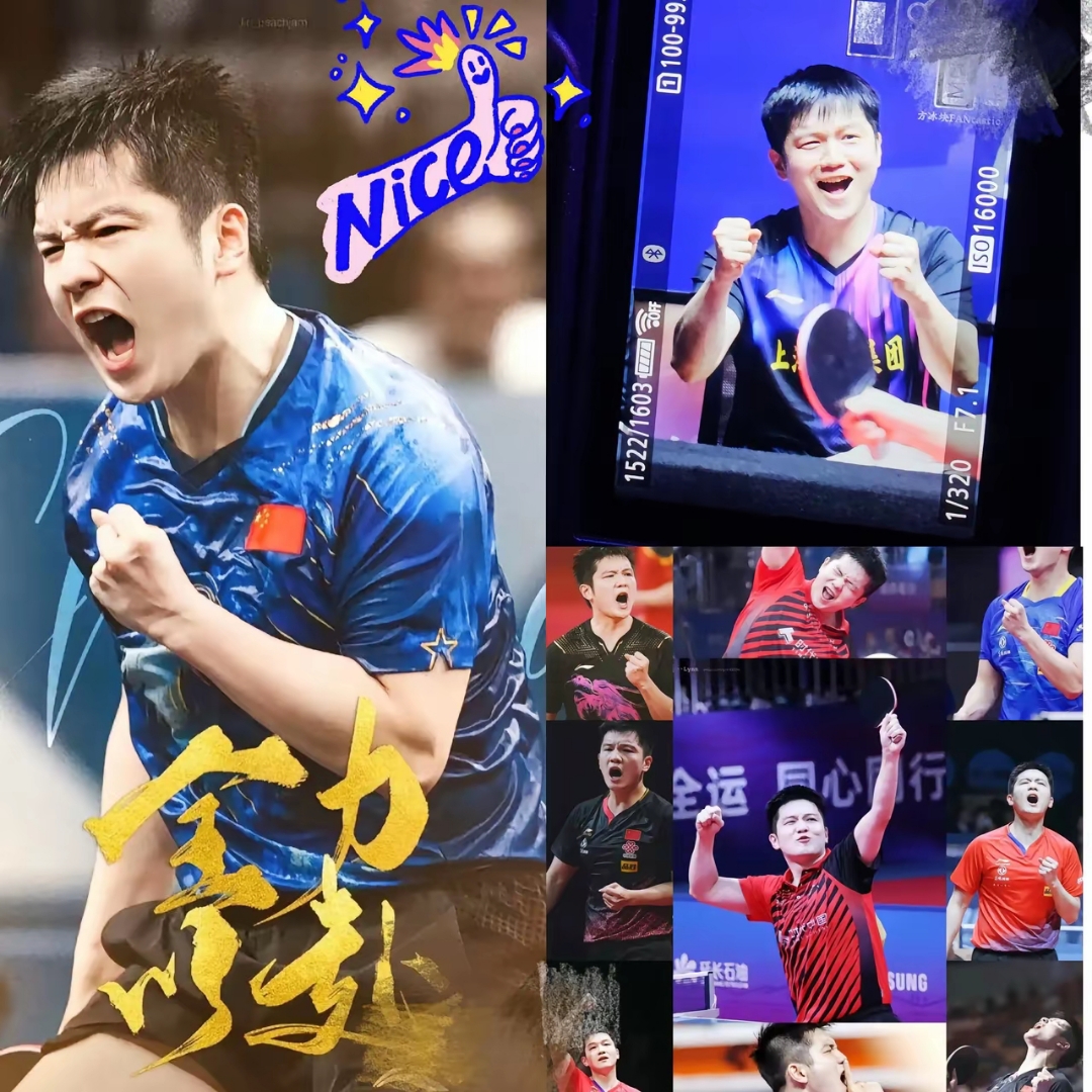 法国队翻盘德国队,樊振东统治全场 法国队翻盘德国队,樊振东统治全场