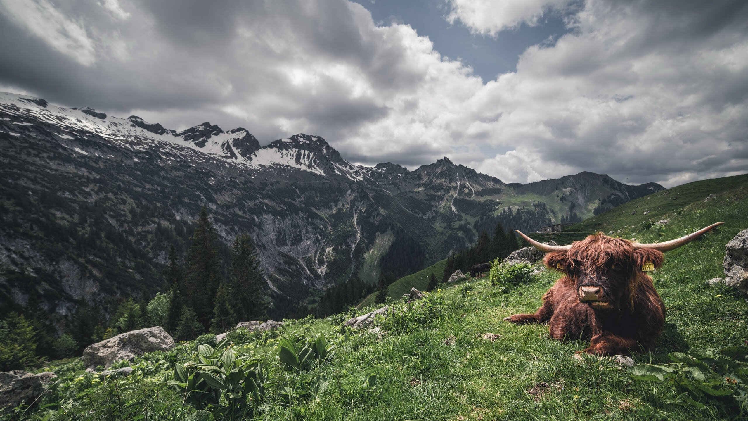跨越山海的唯一王者，当红土硝烟点燃总决赛的王座