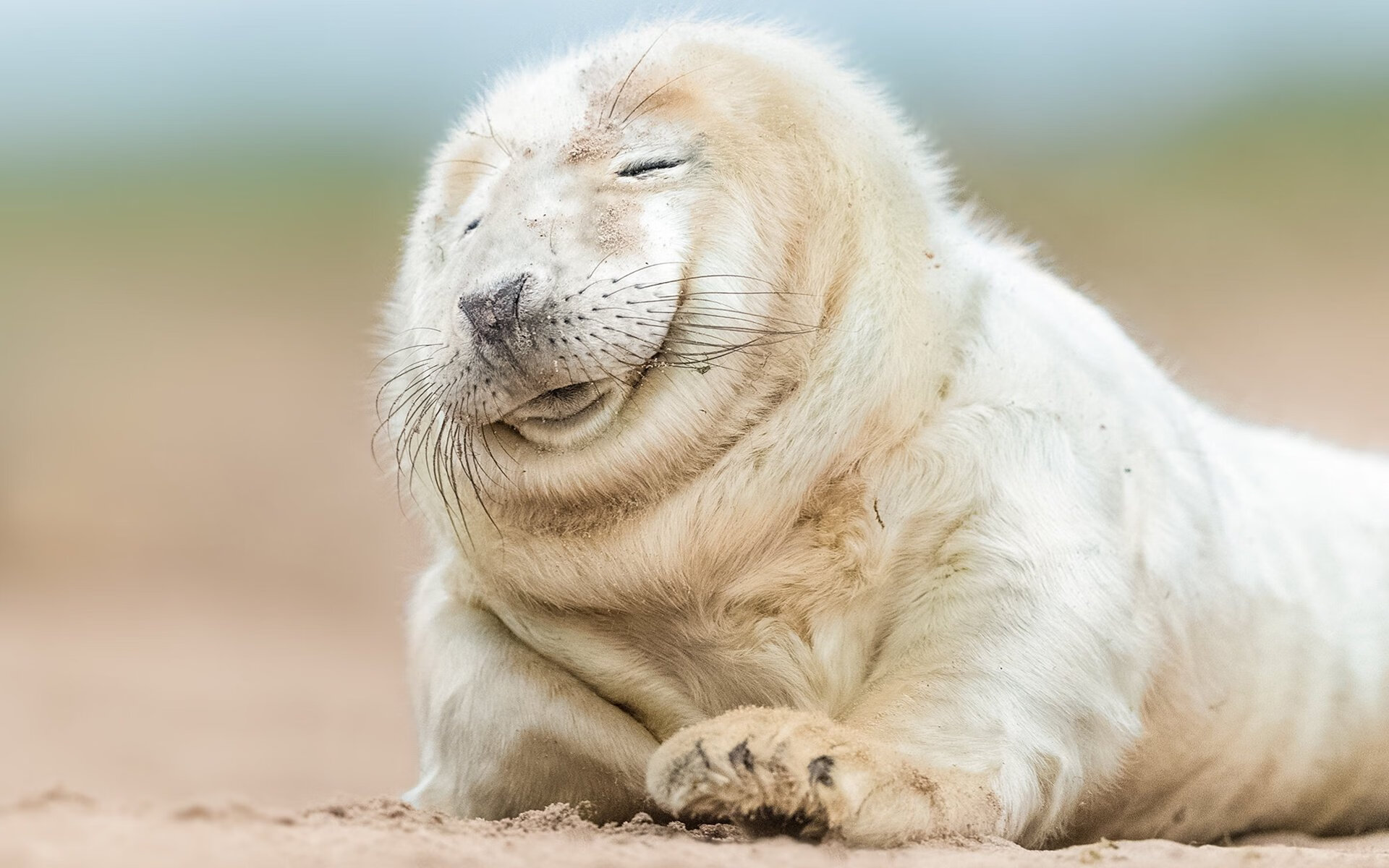 东西交映,NBA孤胆英雄与CBA纪录之夜的跨洋对话