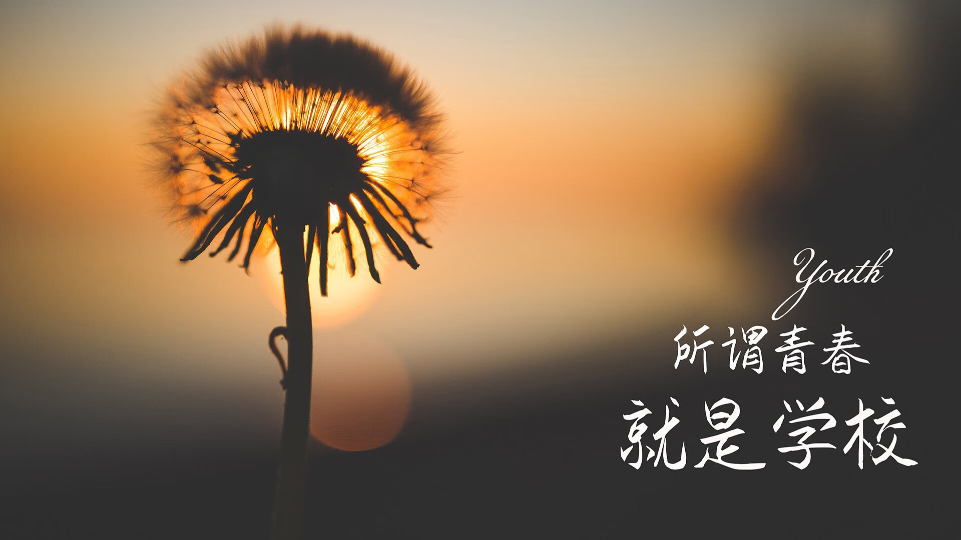 蓝白锋刃，划过天蓝幕布