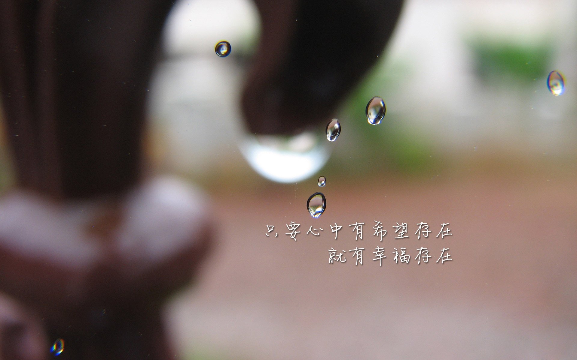 独苗—班凯罗关键制胜，独行侠最后时刻击败猛龙