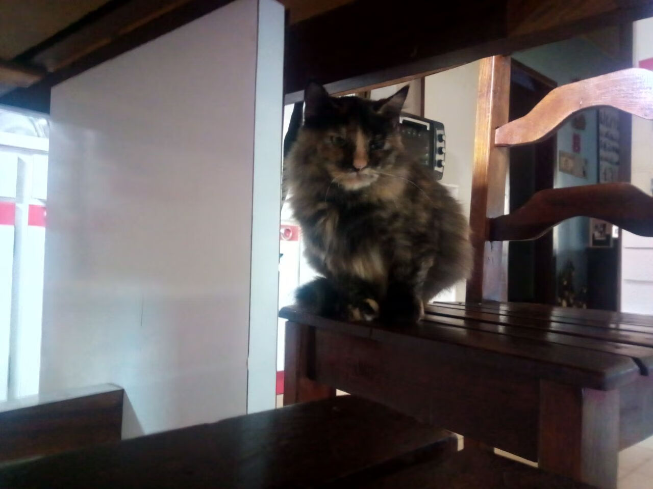 沙特巅峰对决险胜卡塔尔，阿克临危救主成关键先生