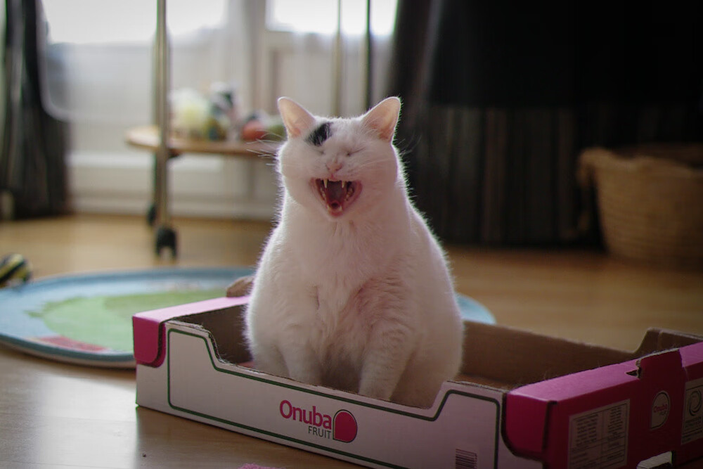 绝境时刻，改写剧本，当苏格兰足球的逆袭遇上NBA的个人英雄主义