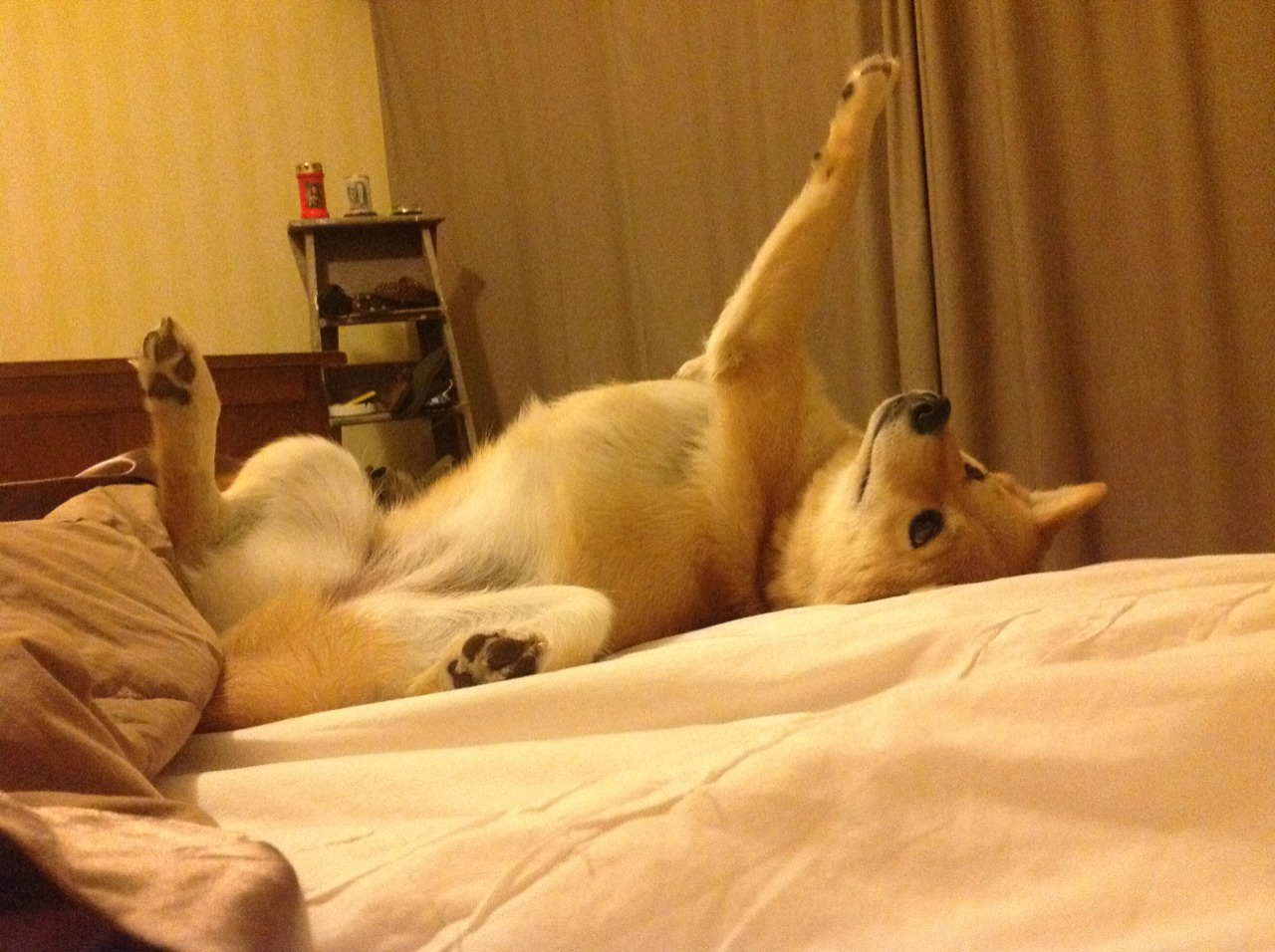 当马里碾压乌克兰,基耶萨在棋盘上接管世界排名争夺战