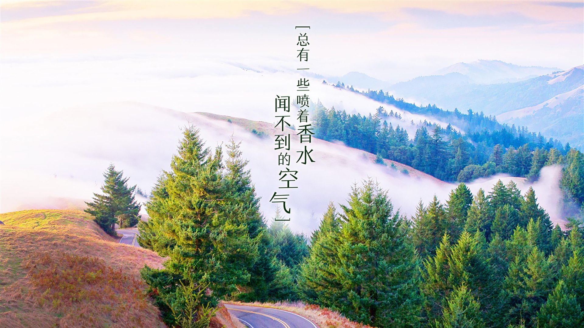 逆转的图腾,当泰国在2026世界杯F组用奇迹为贝林厄姆加冕
