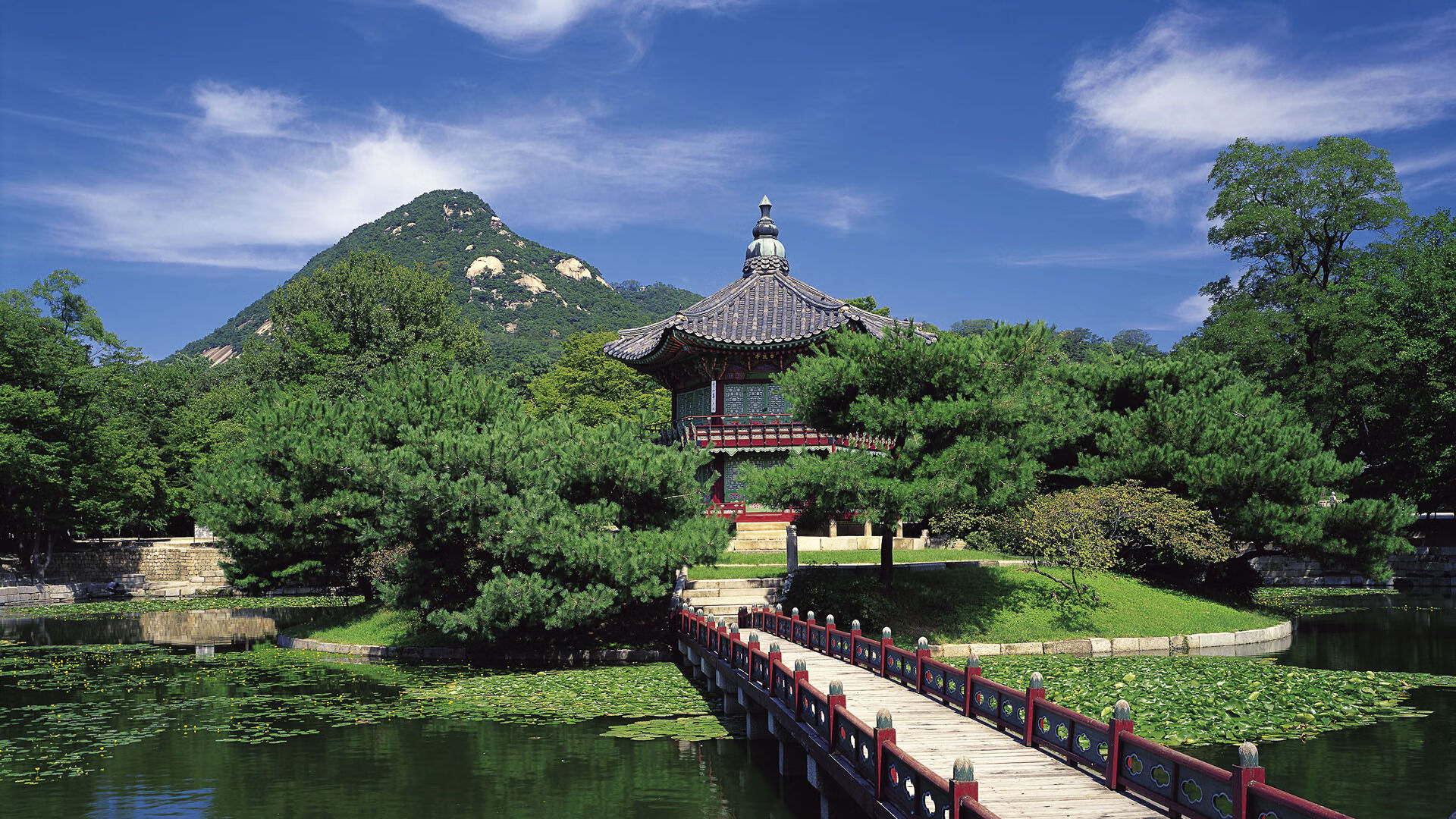 草原雄狮反噬安第斯雄鹰,2026世界杯B组暗夜中的血色逆转,C罗绝杀刻下不朽图腾