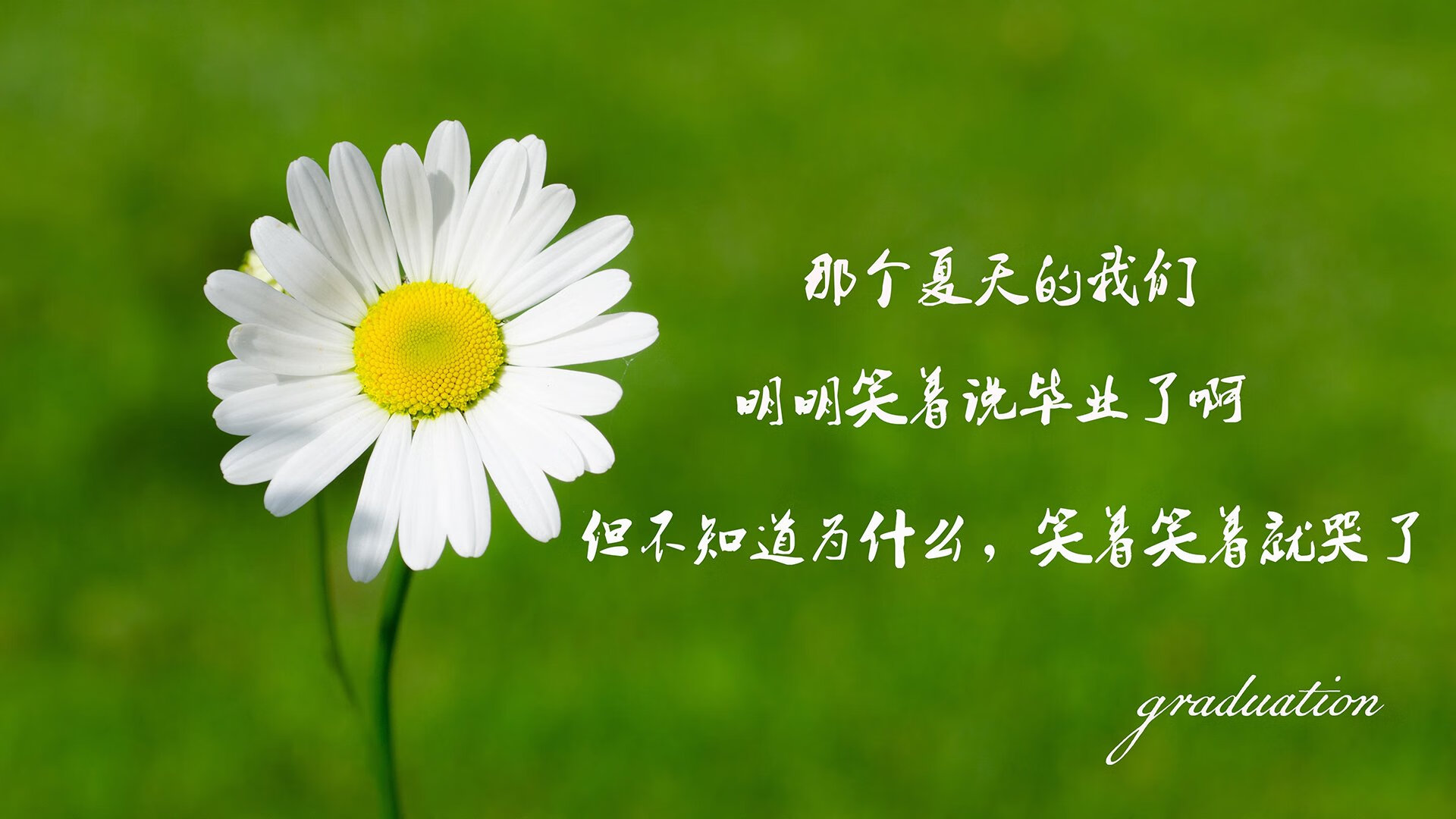 利剑出鞘,萨内独舞撕裂红魔防线,德国战车险胜比利时抢占F组天王山