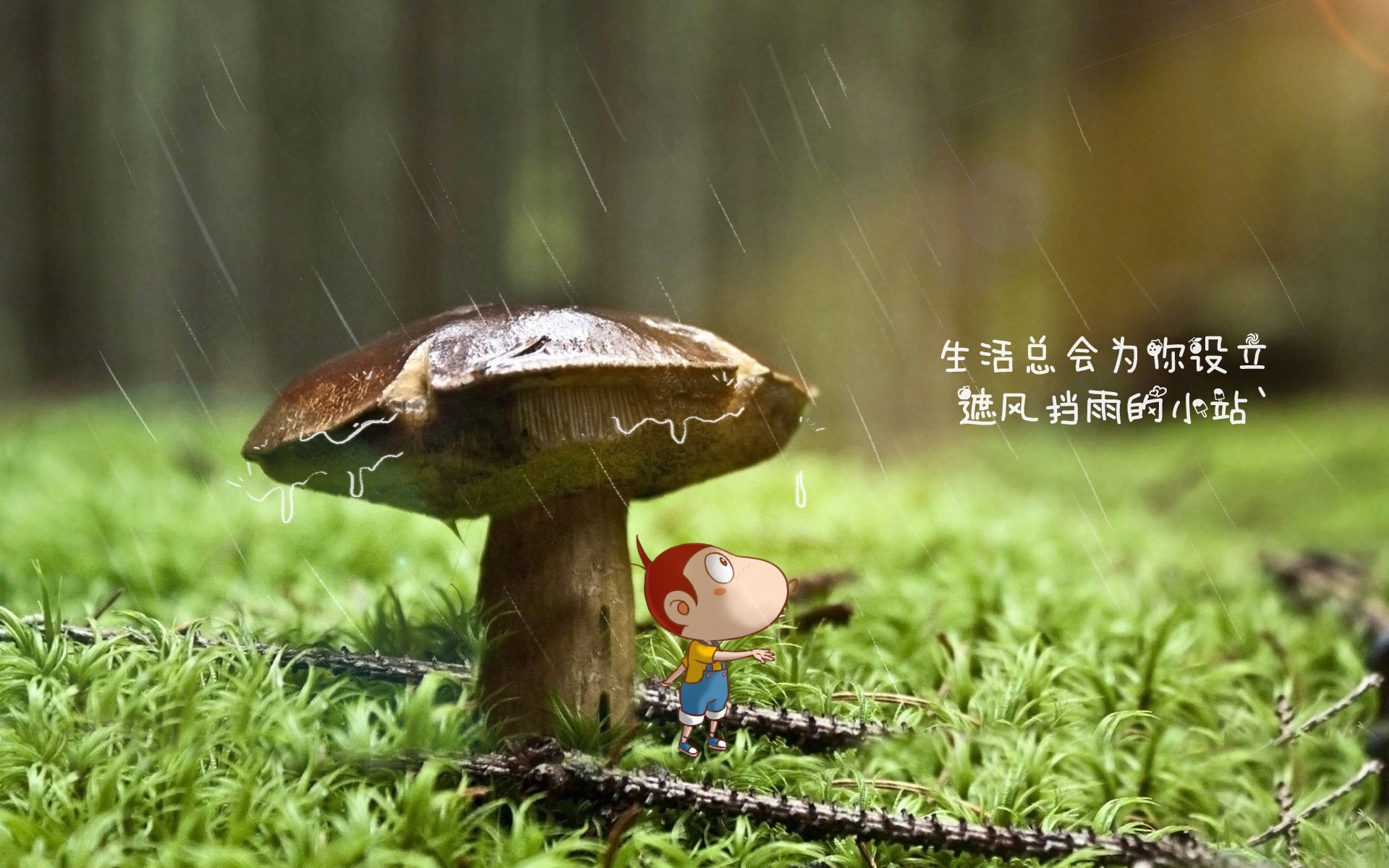 孤悬于命运之外的胜利，2026世界杯D组关键战，厄瓜多尔大破罗马尼亚，B费独掌乾坤