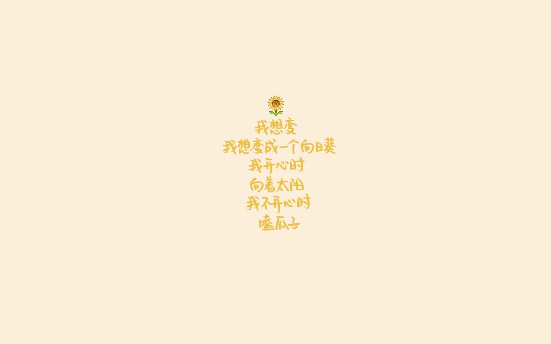 沙漠之鹰的致命一喙，伊朗如何用控球权改写2026世界杯B组剧本