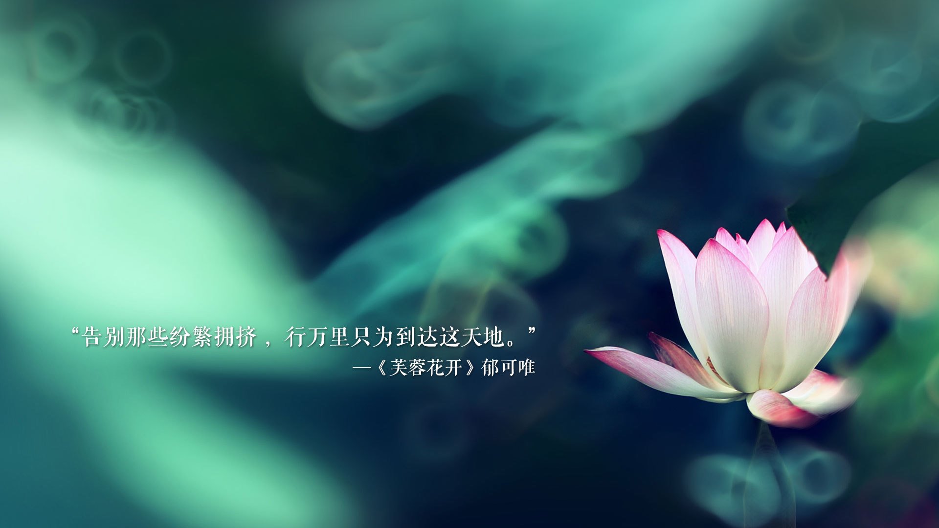 唯一之路,当斯洛伐克的城墙,撞上萨内的命运之刃